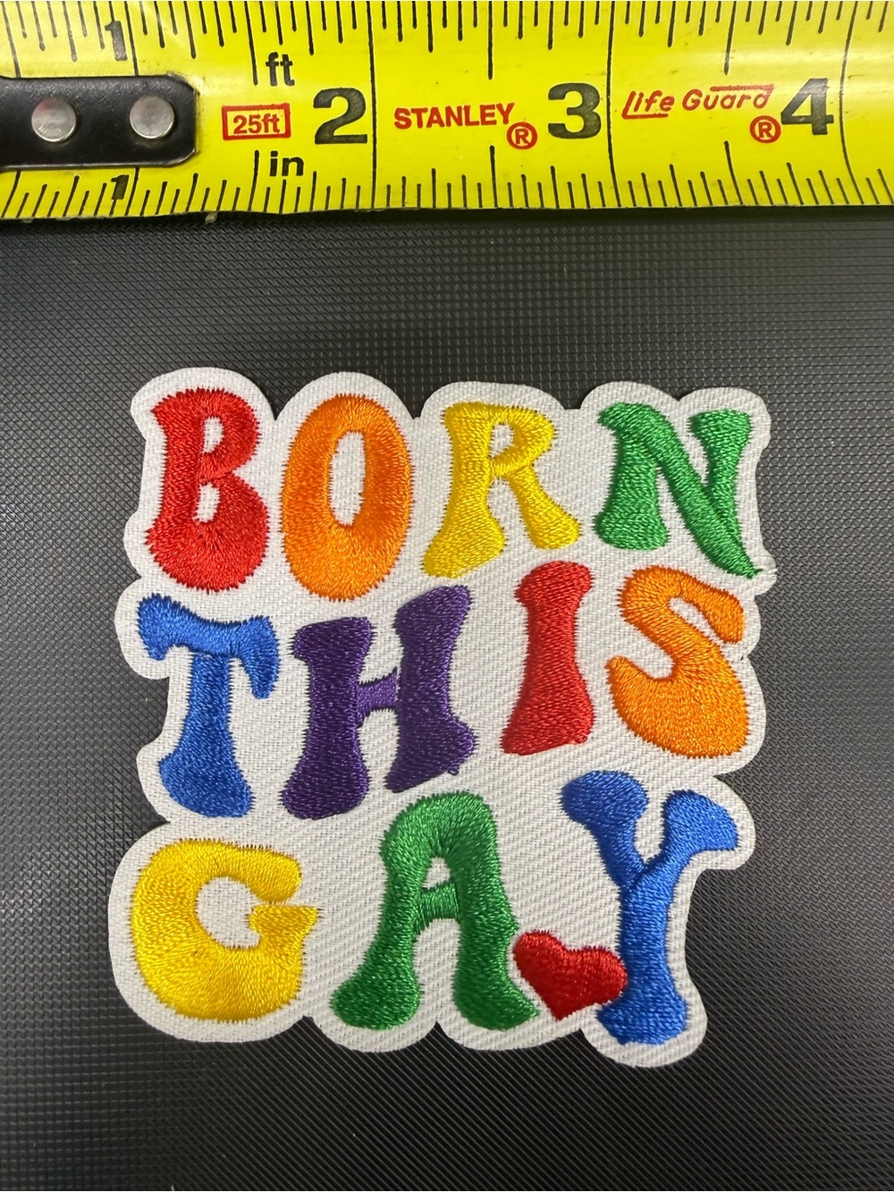 Multicolor 'Born This Gay' Embroidered Patch - No Brand